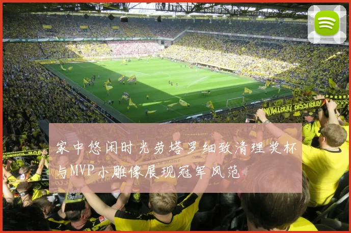 家中悠闲时光劳塔罗细致清理奖杯与MVP小雕像展现冠军风范
