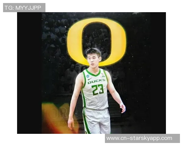 林葳表达对林书豪的崇拜与学习愿望深度解析其打球方式的影响与启发